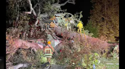 Firefighters work at the scene where an oak tree fell on an Encino home.