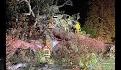 Firefighters work at the scene where an oak tree fell on an Encino home. Firefighters work at the scene where an oak tree fell on an Encino home.