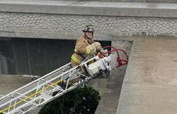 A spirited dog bit an El Segundo firefighters multiple times while being rescued. A spirited dog bit an El Segundo firefighters multiple times while being rescued.