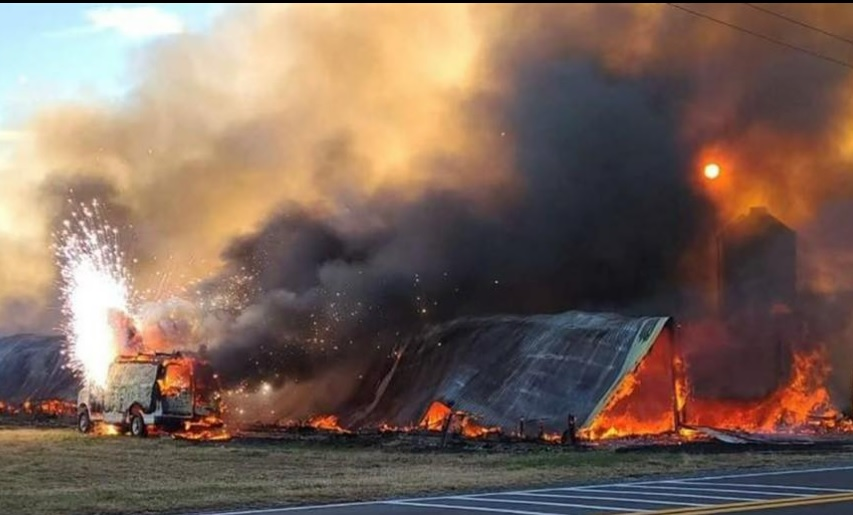 Heavy fire consumes a chicken brooder house in Millsboro on Tuesday.