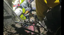 Chesterfield County Fire and EMS Technical Rescue Teams rescue a dog after a 50 foot drop into a well.