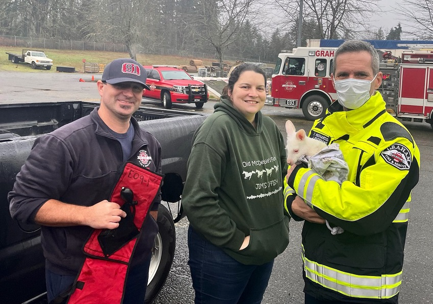 Firefighters reunite a young wallaby with its owner.