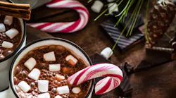 Winter Holiday Banner