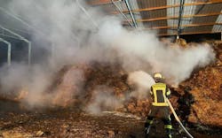 W2 61cc745bccb0c W2 61cc745bccb0c