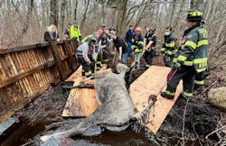 Southard Fire Dept. No.1 and mutual aid crews worked with a veteranarian to free a horse stuck mud. Southard Fire Dept. No.1 and mutual aid crews worked with a veteranarian to free a horse stuck mud.