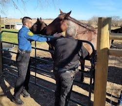 Although the holistic wellness experience is different for everyone, there are several hands-on activities on a working farm. Although the holistic wellness experience is different for everyone, there are several hands-on activities on a working farm.