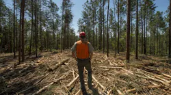 A Forest Service fire scientist is critical of the U.S. Forest Service's new wildfire strategy report.
