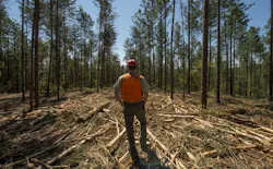 A Forest Service fire scientist is critical of the U.S. Forest Service's new wildfire strategy report.