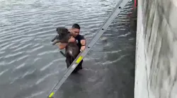 Miami Beach firefighters rescued ‘Tuna’ a Bulldog/Terrier mix after falling into Biscayne Bay while playing at an adjacent dog park.