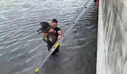 Miami Beach firefighters rescued ‘Tuna’ a Bulldog/Terrier mix after falling into Biscayne Bay while playing at an adjacent dog park. Miami Beach firefighters rescued ‘Tuna’ a Bulldog/Terrier mix after falling into Biscayne Bay while playing at an adjacent dog park.