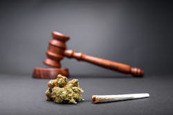 Bigstock New Law Legalize Marijuana 398392889