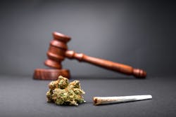 Bigstock New Law Legalize Marijuana 398392889 Bigstock New Law Legalize Marijuana 398392889