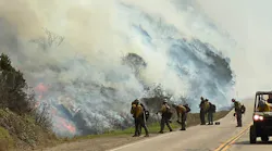 The Palomar Interagency Hotshot Crew conducts a burnout during the Dolan fire in September 2020.