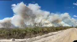Fl Fires