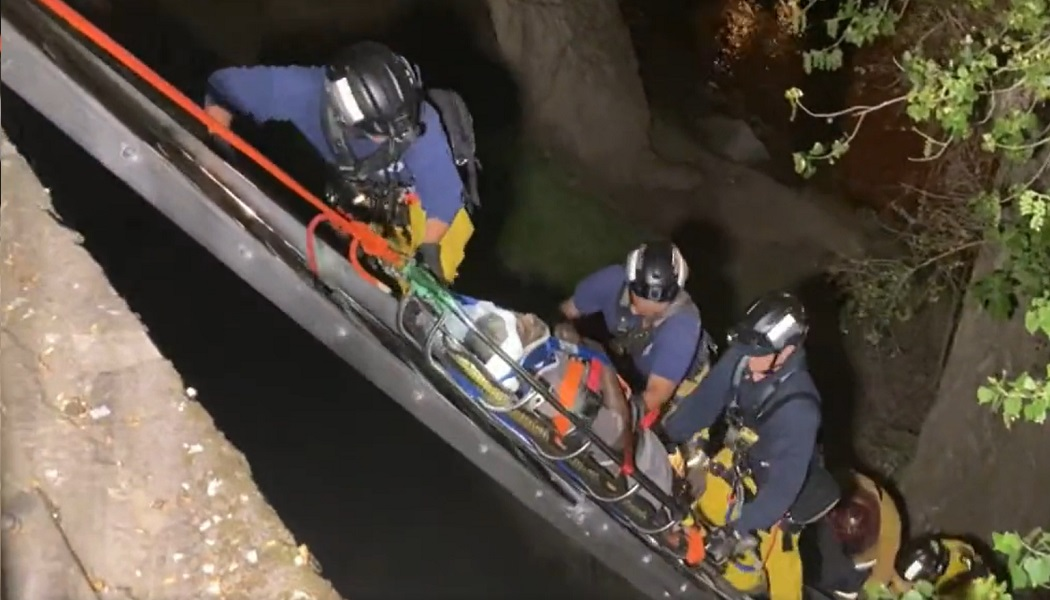 Sacramento firefighters hoist a victim to safety after a 20-foot fall.