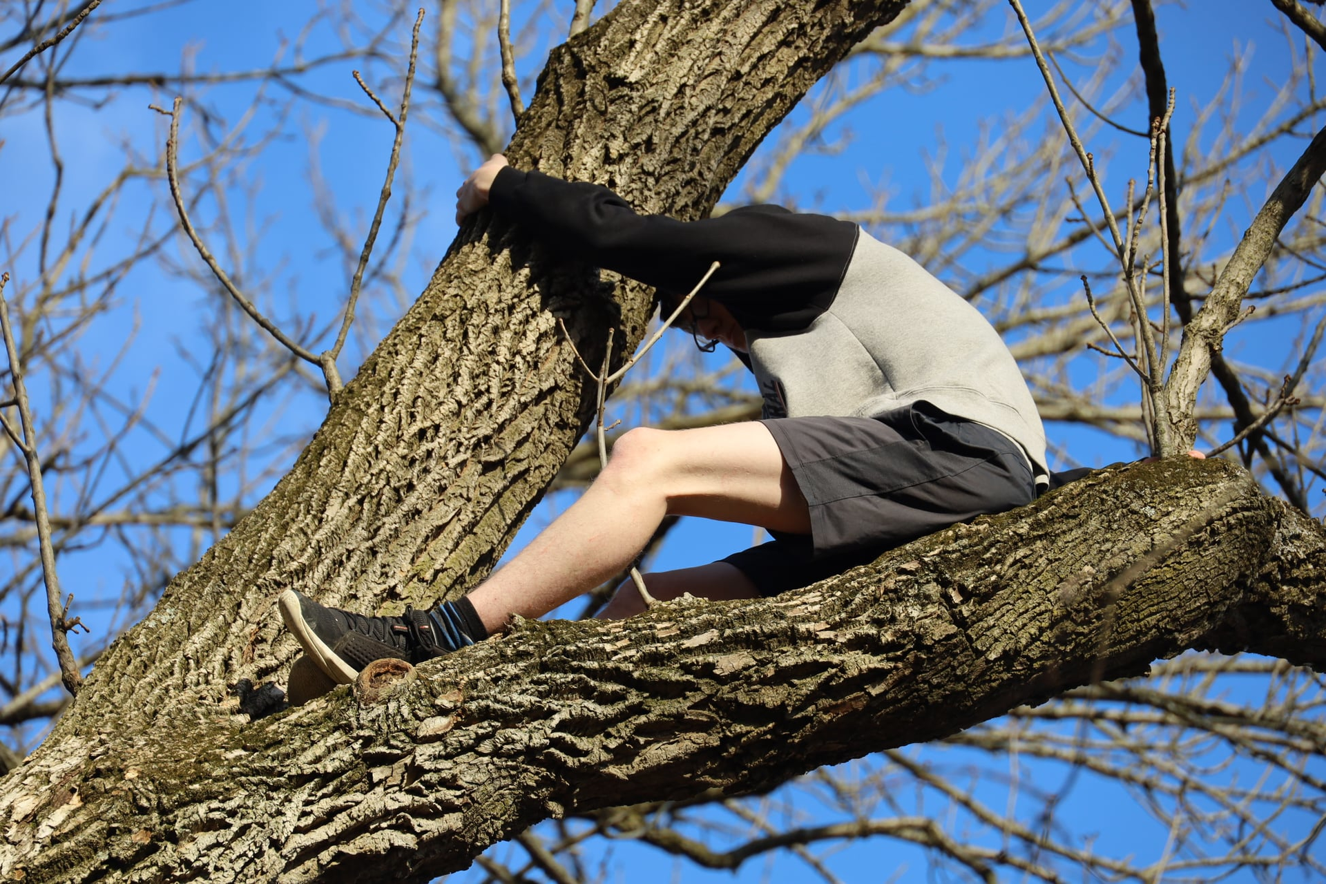 Indianapolis Fire Cat Rescue 1 62255a76d2ac8