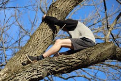 Indianapolis Fire Cat Rescue 1 62255a76d2ac8 Indianapolis Fire Cat Rescue 1 62255a76d2ac8