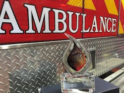 Cfsi com Img 0261 Cfsi com Img 0261