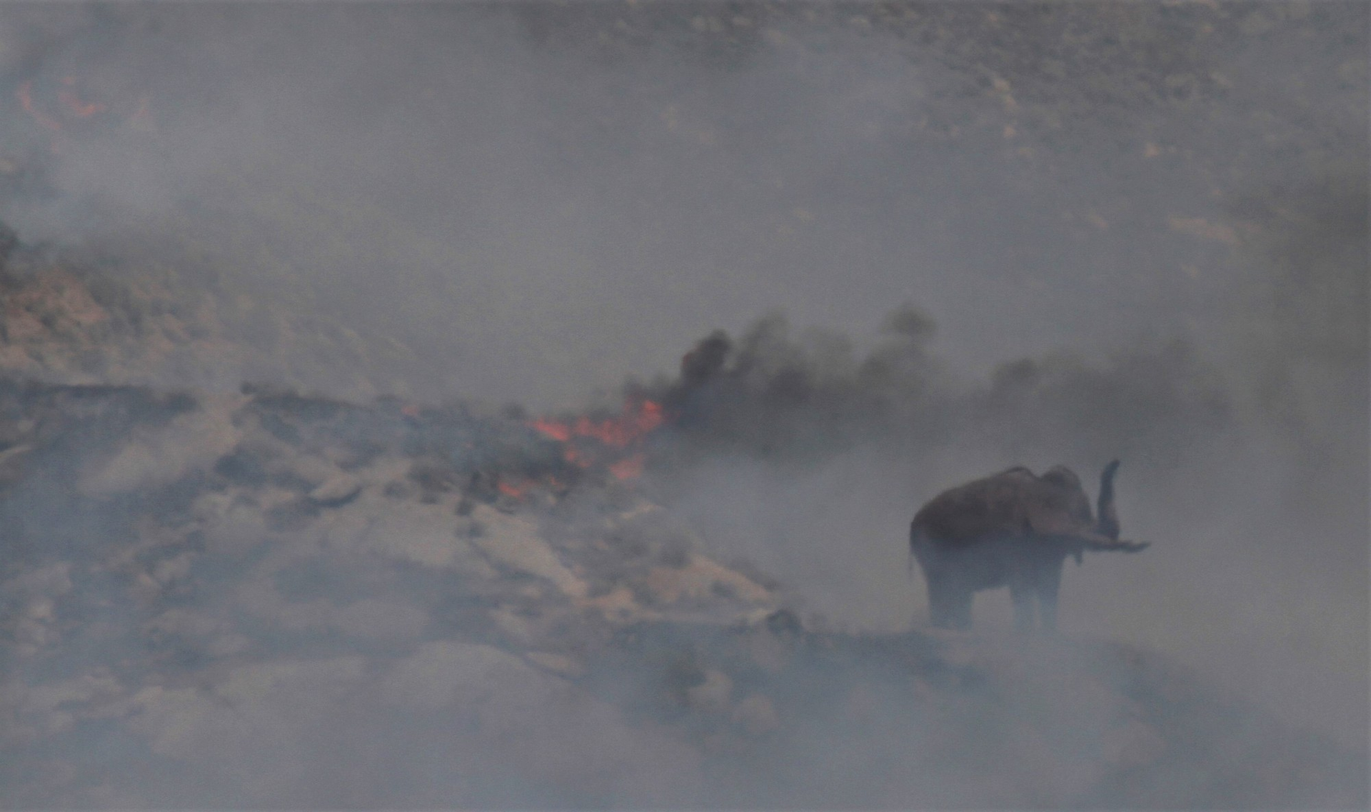Smoke engulfs the mastodon at the Jurupa Mountains Discovery Center that can be seen north of the 60 Freeway in Jurupa Valley during a brush fire on May 6, 2022.
