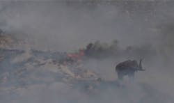 Smoke engulfs the mastodon at the Jurupa Mountains Discovery Center that can be seen north of the 60 Freeway in Jurupa Valley during a brush fire on May 6, 2022. Smoke engulfs the mastodon at the Jurupa Mountains Discovery Center that can be seen north of the 60 Freeway in Jurupa Valley during a brush fire on May 6, 2022.