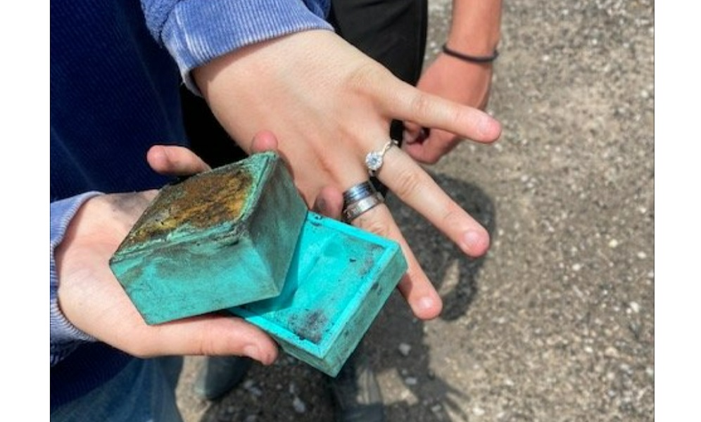 A couple in Tennessee are now engaged thanks in part to the quick work of Williamson Fire-Rescue firefighters.