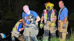 The dog had “no apparent injuries” when it was eventually pulled from the vehicle by firefighters.