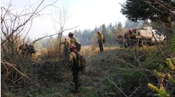 An engine crew and hand crew working the Calf Canyon fire near Chacon in May.