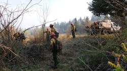 An engine crew and hand crew working the Calf Canyon fire near Chacon in May.