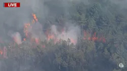A fire at the Wharton State Forest has burned through over 7,000 acres. A fire at the Wharton State Forest has burned through over 7,000 acres.