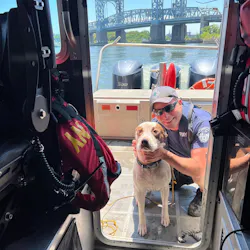 Fdny Dog294464817 413635130800612 7730360791282418819 N 62d84d16a6757 Fdny Dog294464817 413635130800612 7730360791282418819 N 62d84d16a6757
