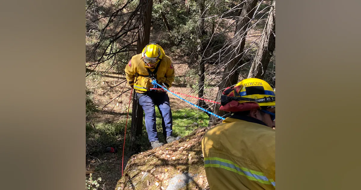 A Rapid-Extrication Team for the Wildland Fire Environment | Firehouse
