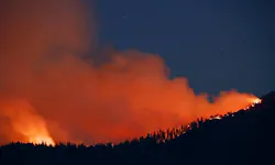 The Washburn Fire burns near the south entrance of Yosemite National Park Monday, July 11, 2022 near Oakhurst.