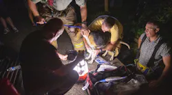 Medford Fire and Rescue Chief Rob Dovi bandages the injuried coonhound.