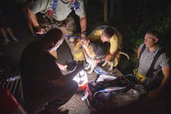 Medford Fire and Rescue Chief Rob Dovi bandages the injuried coonhound. Medford Fire and Rescue Chief Rob Dovi bandages the injuried coonhound.