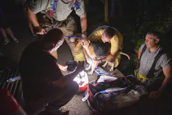 Medford Fire and Rescue Chief Rob Dovi bandages the injuried coonhound.