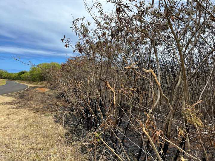 This is the area where the debris fire occurred.