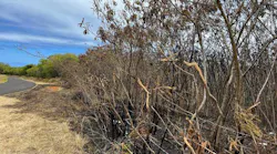 This is the area where the debris fire occurred.
