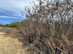 This is the area where the debris fire occurred.
