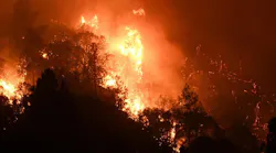 The Oak Fire that ignited Friday quickly moved to one of the largest in California this year.