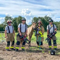 Walton295314273 420879243409410 3770800970934152911 N 62e7cb56e3722 Walton295314273 420879243409410 3770800970934152911 N 62e7cb56e3722