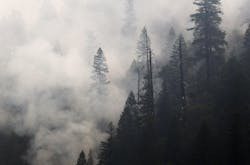 The McKinney fire does a slow burn in the Klamath Forest near Yreka on Tuesday, Aug. 2, 2022. The Northern California blaze has charred more than 60,000 acres and killed four people.