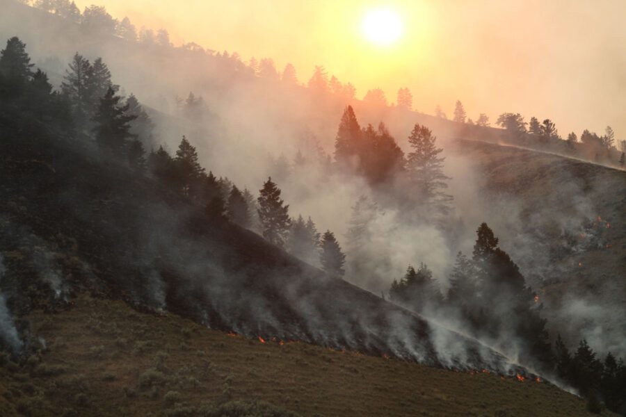 Moose Fire 632daefcb50d8