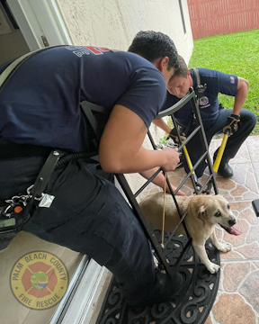 https://img.firehouse.com/files/base/cygnus/fhc/image/2022/09/Palm_Beach_County_Fire_Rescue_Facebook3307154707_412647320986593_6980329005964040166_n.6324a3a23e70d.png?auto=format%2Ccompress&w=320
