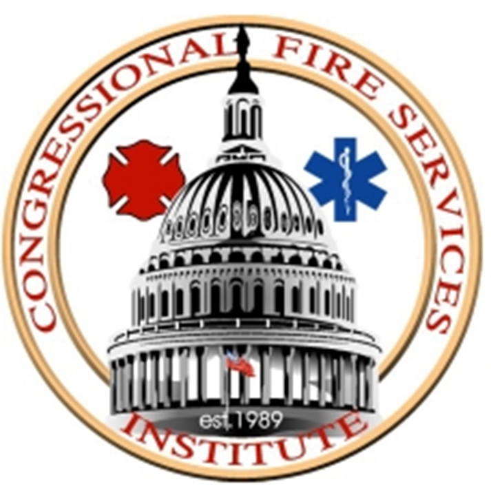 Cfsi Logo