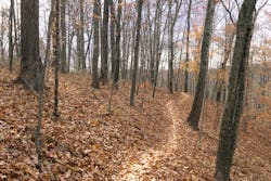 Wayne National Forest 63a593c576d68 Wayne National Forest 63a593c576d68