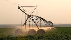 An irrigation pivot waters a crop of sugar beets south of Meridian.