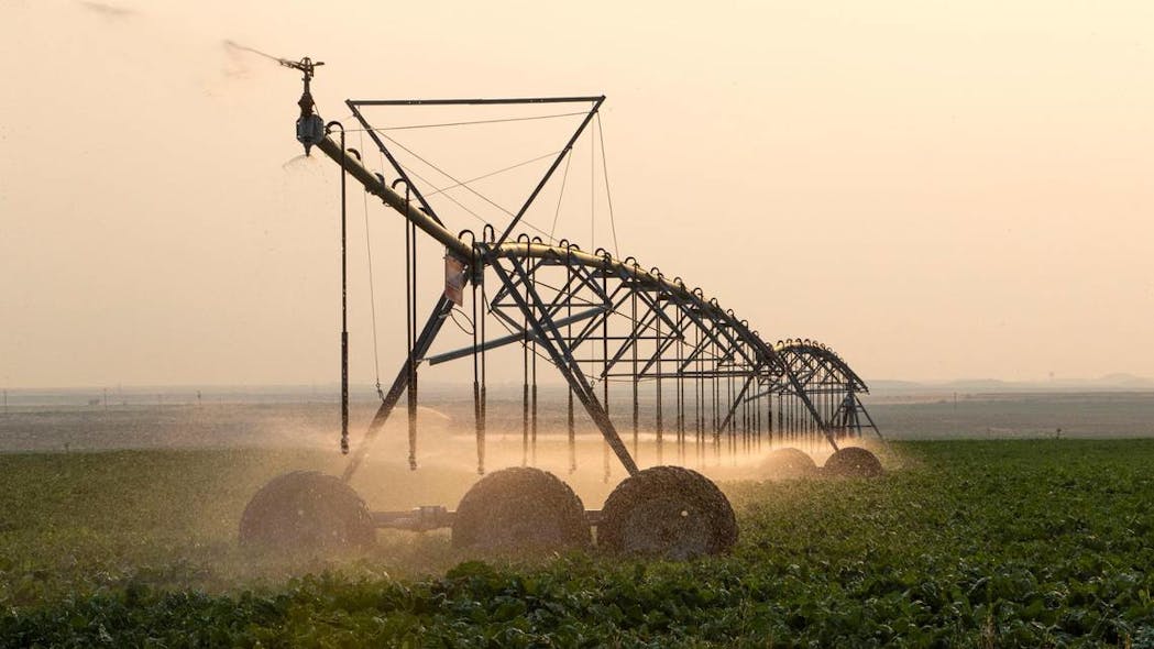 An irrigation pivot waters a crop of sugar beets south of Meridian. An irrigation pivot waters a crop of sugar beets south of Meridian.