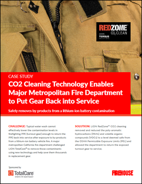 Lion Cs 2023 03 28 17 44 11