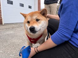 20230331 Amx Us News Finding Toro How Firefighter With 6 Mlv 20230331 Amx Us News Finding Toro How Firefighter With 6 Mlv