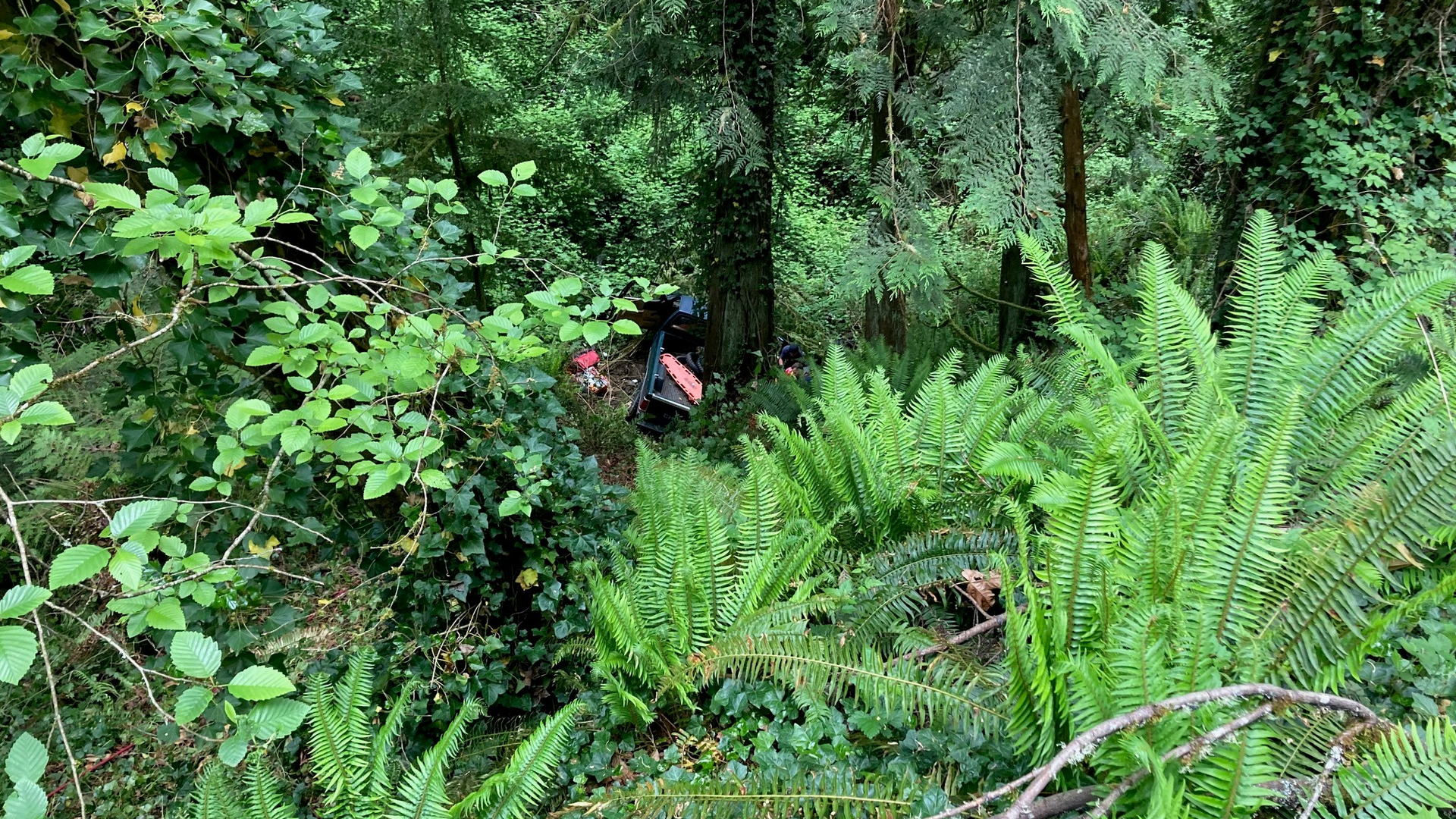 Firefighters had to walk through thick brush to access the driver crashed down into a ravine days earlier in Cowlitz County.